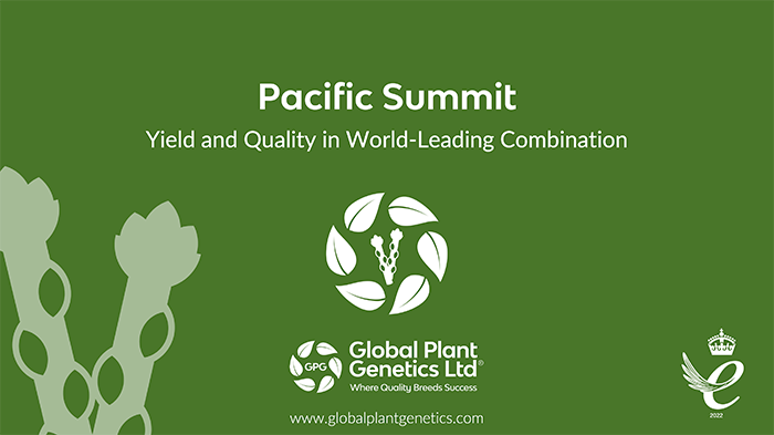 Pacfic Summit