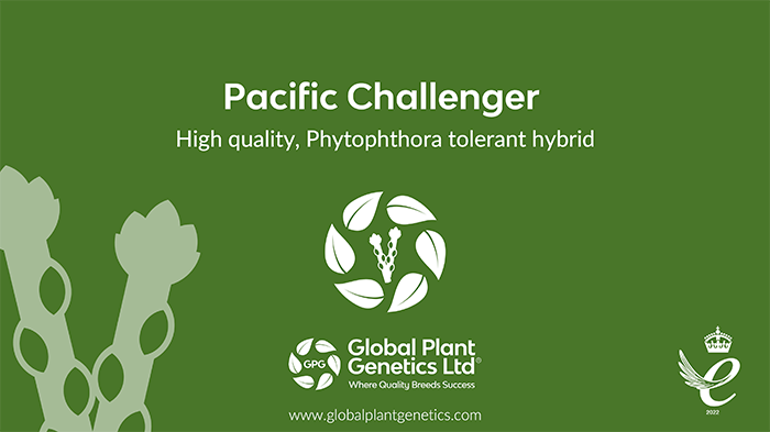 Pacific Challenger